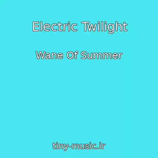 کاور آهنگ Electric Twilight از Wane Of Summer