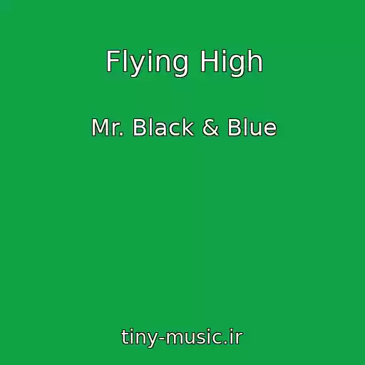 کاور آهنگ Flying High از Mr. Black & Blue