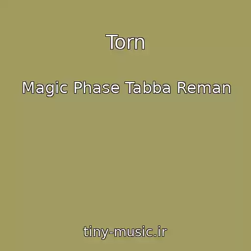 کاور آهنگ Torn از Magic Phase Tabba Reman