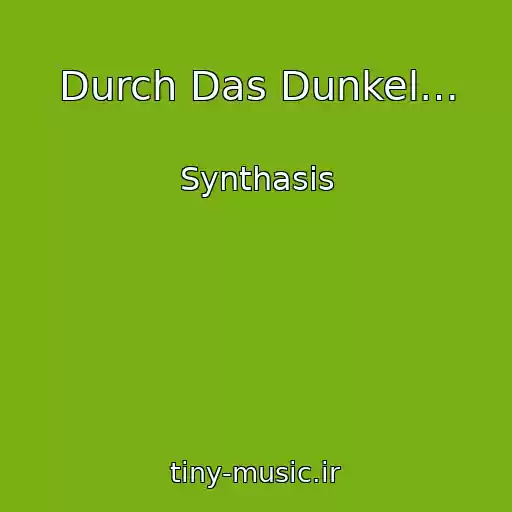 کاور آهنگ Durch Das Dunkel… از Synthasis
