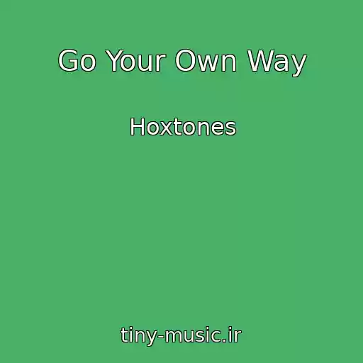 کاور آهنگ Go Your Own Way از Hoxtones