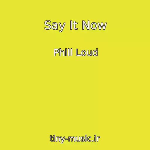 کاور آهنگ Say It Now از Phill Loud