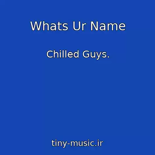 کاور آهنگ Whats Ur Name از Chilled Guys.