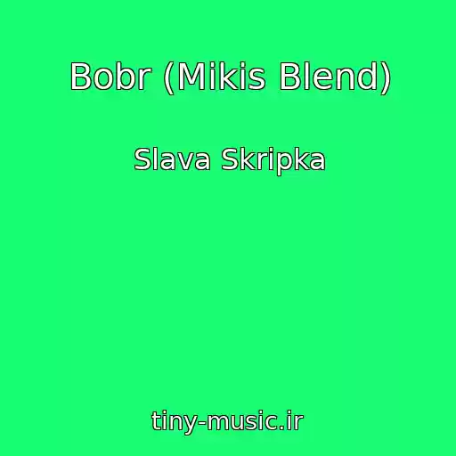 کاور آهنگ Bobr (Mikis Blend) از Slava Skripka