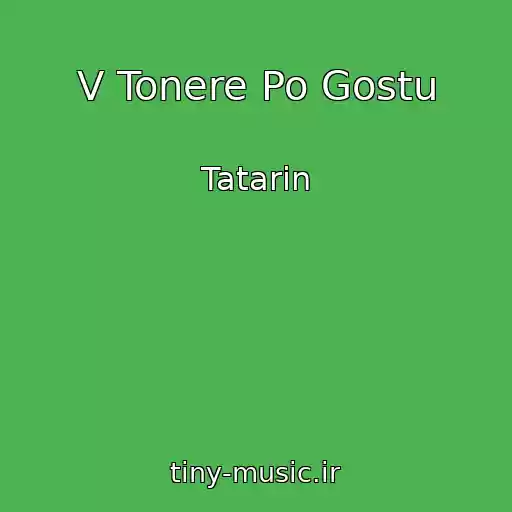 کاور آهنگ V Tonere Po Gostu از Tatarin