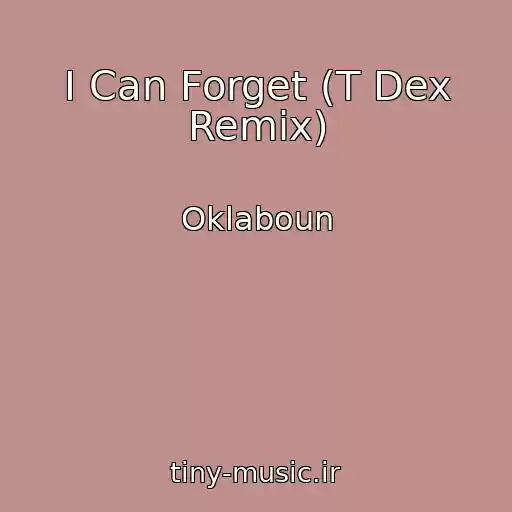 کاور آهنگ I Can Forget (T Dex Remix) از Oklaboun