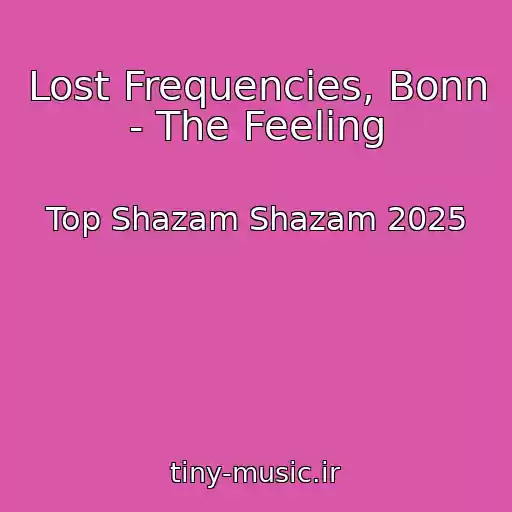 کاور آهنگ Lost Frequencies, Bonn - The Feeling از Top Shazam Shazam 2025