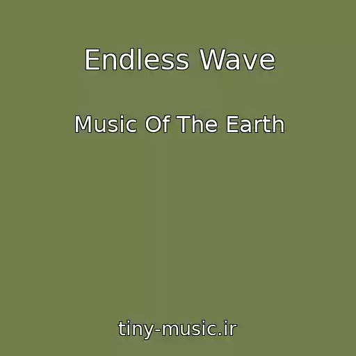 کاور آهنگ Endless Wave از Music Of The Earth