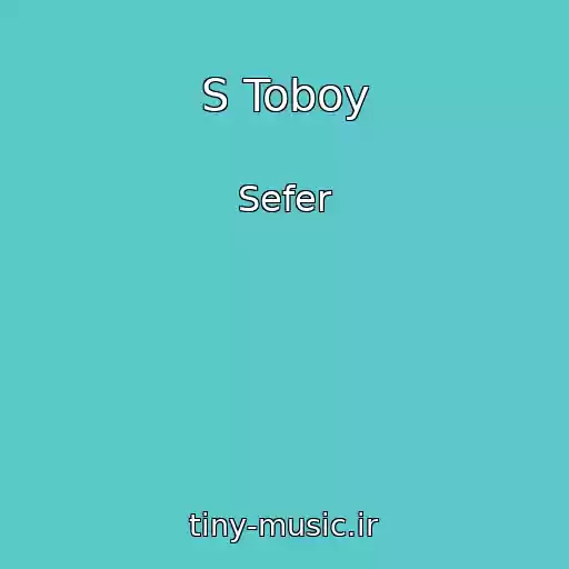 کاور آهنگ S Toboy از Sefer