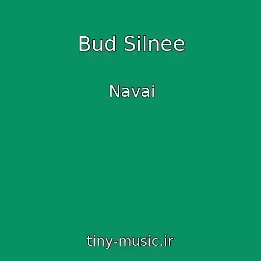 کاور آهنگ Bud Silnee از Navai