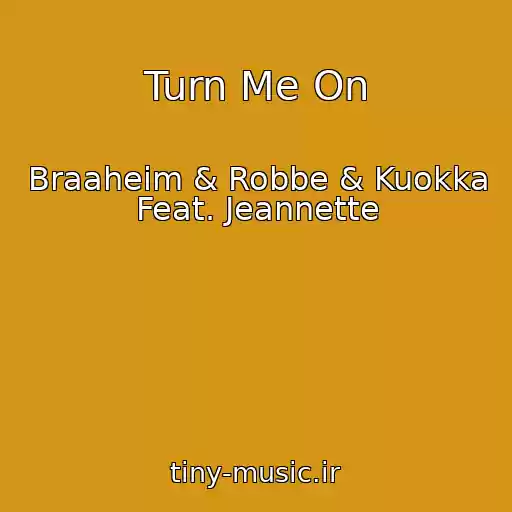 کاور آهنگ Turn Me On از Braaheim & Robbe & Kuokka Feat. Jeannette