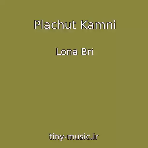 کاور آهنگ Plachut Kamni از Lona Bri