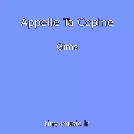 کاور آهنگ Appelle Ta Copine از Gims