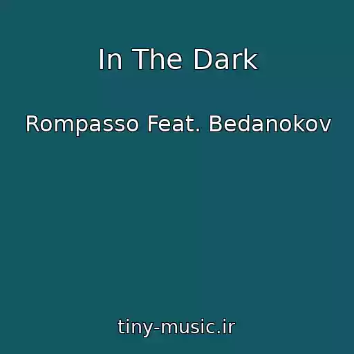 کاور آهنگ In The Dark از Rompasso Feat. Bedanokov
