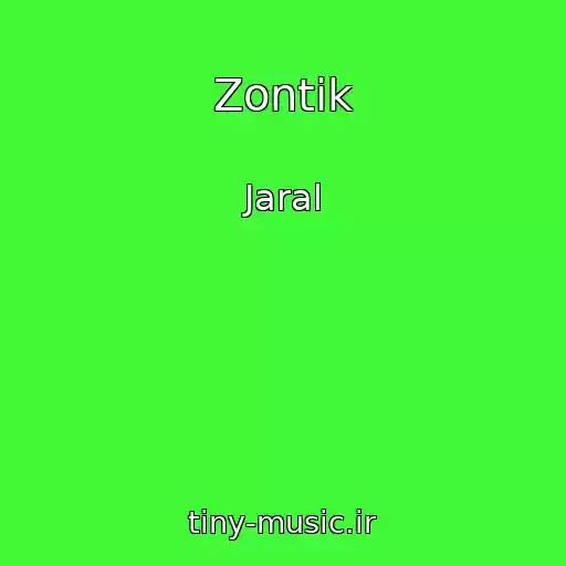 کاور آهنگ Zontik از Jaral
