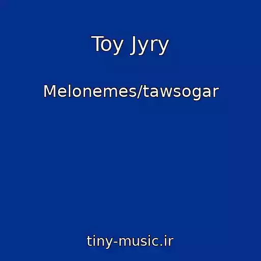 کاور آهنگ Toy Jyry از Melonemes/tawsogar