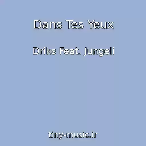 کاور آهنگ Dans Tes Yeux از Driks Feat. Jungeli