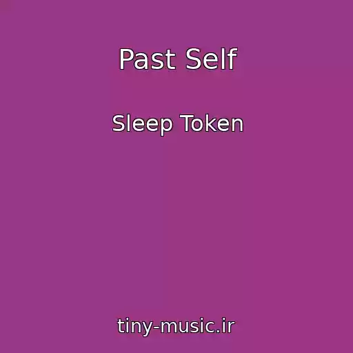 کاور آهنگ Past Self از Sleep Token