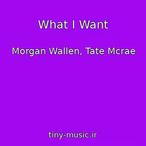 کاور آهنگ What I Want از Morgan Wallen, Tate Mcrae
