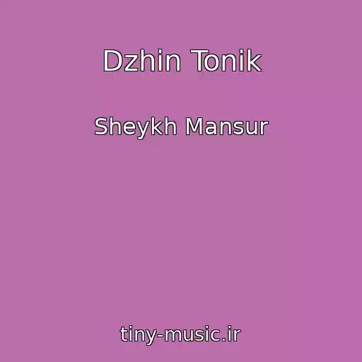 کاور آهنگ Dzhin Tonik از Sheykh Mansur
