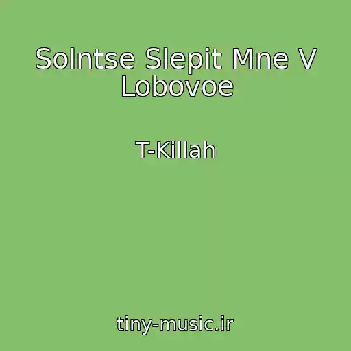 کاور آهنگ Solntse Slepit Mne V Lobovoe از T-Killah