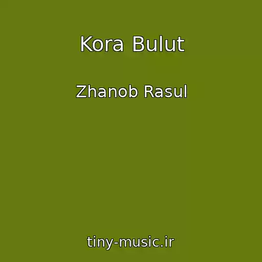 کاور آهنگ Kora Bulut از Zhanob Rasul