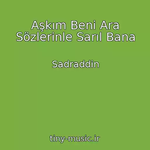 کاور آهنگ Aşkım Beni Ara Sözlerinle Sarıl Bana از Sadraddin