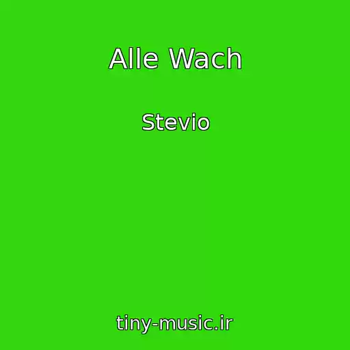 کاور آهنگ Alle Wach از Stevio