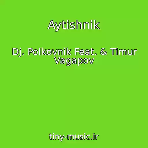 کاور آهنگ Aytishnik از Dj. Polkovnik Feat. & Timur Vagapov