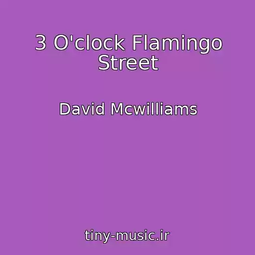 کاور آهنگ 3 O'clock Flamingo Street از David Mcwilliams