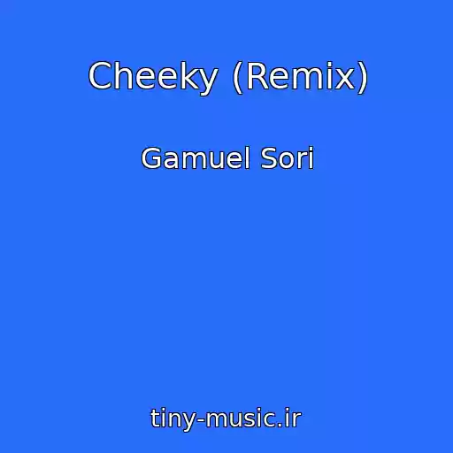 کاور آهنگ Cheeky (Remix) از Gamuel Sori