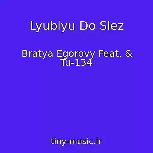 کاور آهنگ Lyublyu Do Slez از Bratya Egorovy Feat. & Tu-134