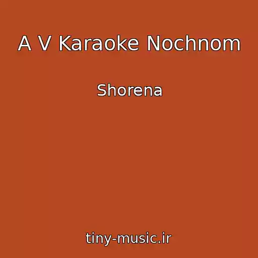 کاور آهنگ A V Karaoke Nochnom از Shorena