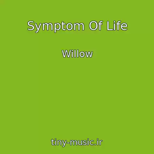 کاور آهنگ Symptom Of Life از Willow