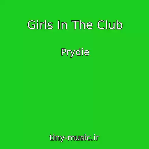 کاور آهنگ Girls In The Club از Prydie