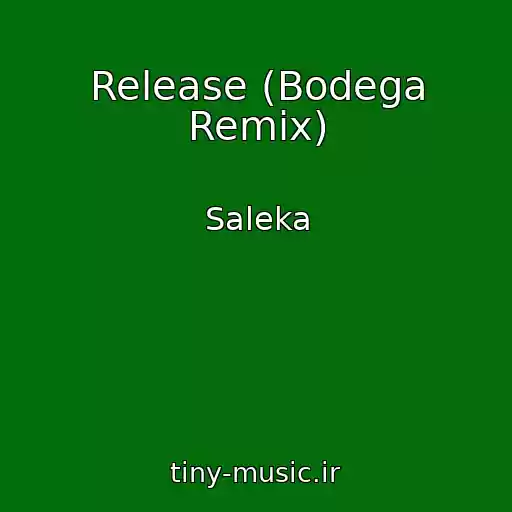 کاور آهنگ Release (Bodega Remix) از Saleka