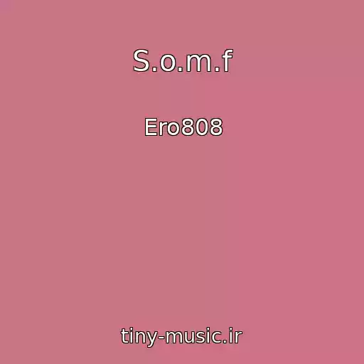 کاور آهنگ S.o.m.f از Ero808