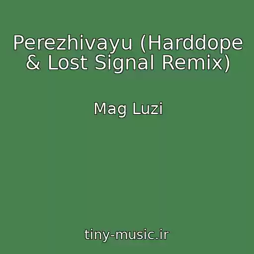 کاور آهنگ Perezhivayu (Harddope & Lost Signal Remix) از Mag Luzi