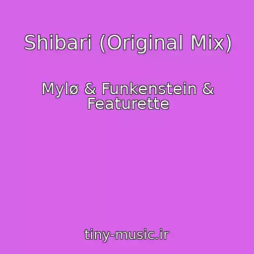 کاور آهنگ Shibari (Original Mix) از Mylø & Funkenstein & Featurette
