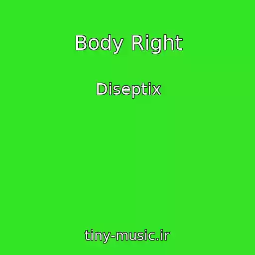 کاور آهنگ Body Right از Diseptix