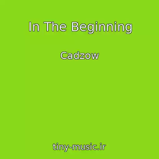کاور آهنگ In The Beginning از Cadzow