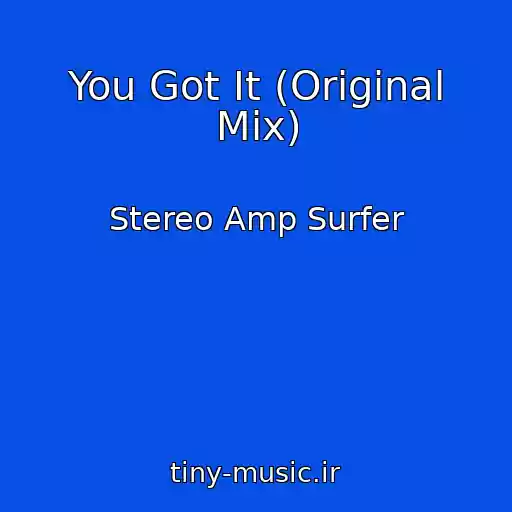 کاور آهنگ You Got It (Original Mix) از Stereo Amp Surfer