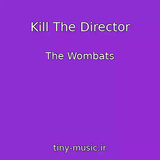 کاور آهنگ Kill The Director از The Wombats