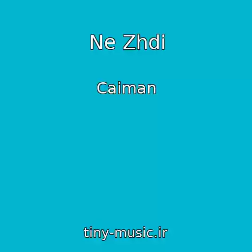 کاور آهنگ Ne Zhdi از Caiman