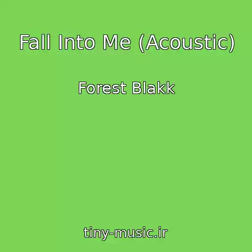 کاور آهنگ Fall Into Me (Acoustic) از Forest Blakk