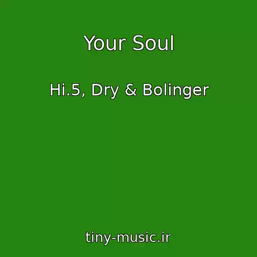 کاور آهنگ Your Soul از Hi.5, Dry & Bolinger