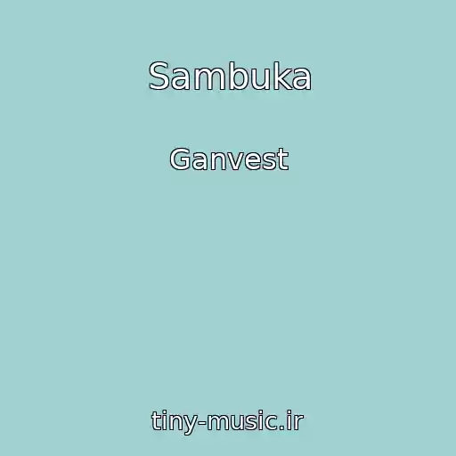 کاور آهنگ Sambuka از Ganvest