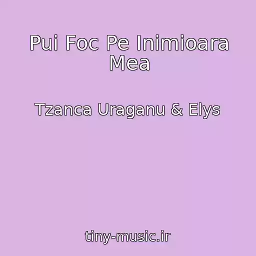 کاور آهنگ Pui Foc Pe Inimioara Mea از Tzanca Uraganu & Elys