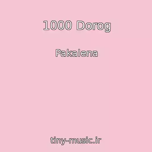 کاور آهنگ 1000 Dorog از Pakalena