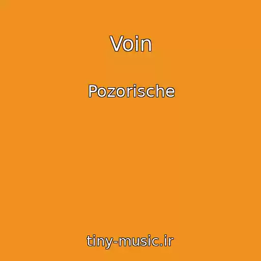 کاور آهنگ Voin از Pozorische